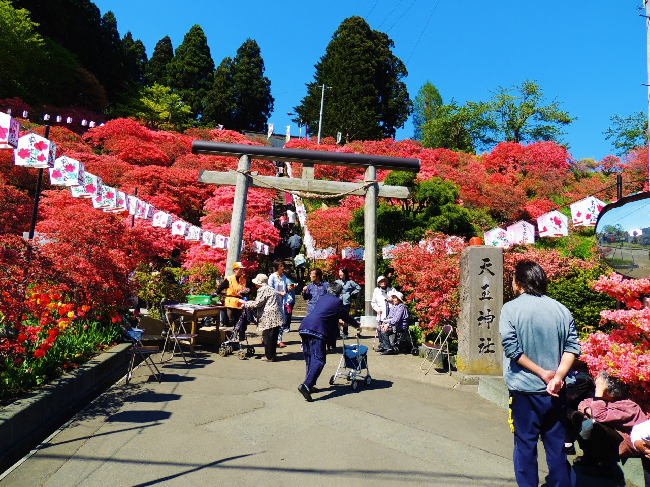 七戸町 天王神社つつじまつりへ行ってきました 風景