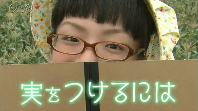 実をつけるには ふしぎがいっぱい 5年 Nhk For School