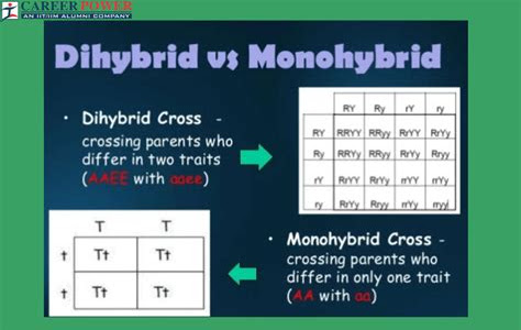 Free Reading grade12 monohybrid and dihybrid crosses practical PDF Ebook online PDF