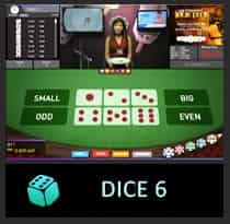 DICE6
