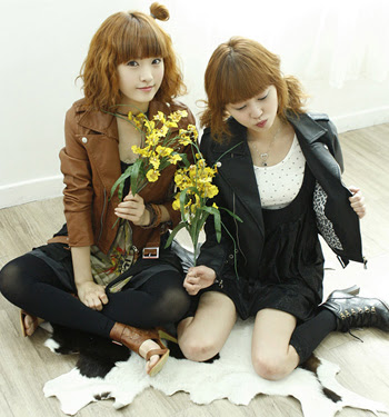 เสื้อกันหนาวเกาหลี