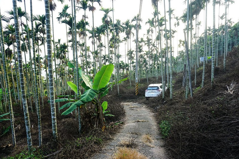 DSC08352