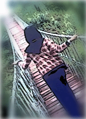 lolcat · bieber · justin bieber · funny · gif · animation