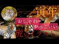 コレクション 虎 イラスト 簡単 かっこいい 152979-虎 ��ラスト 簡単 かっこいい