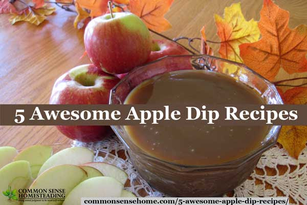 Easy to make homemade apple dip recipes. Homemade Caramel Apple Dip , Chocolate Almond, Maple Bacon, Walnut Ricotta Cream, and Pistachio and Blue Cheese.