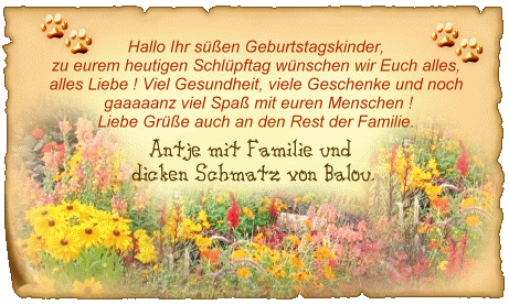 wünsche zum geburtstag von kindern