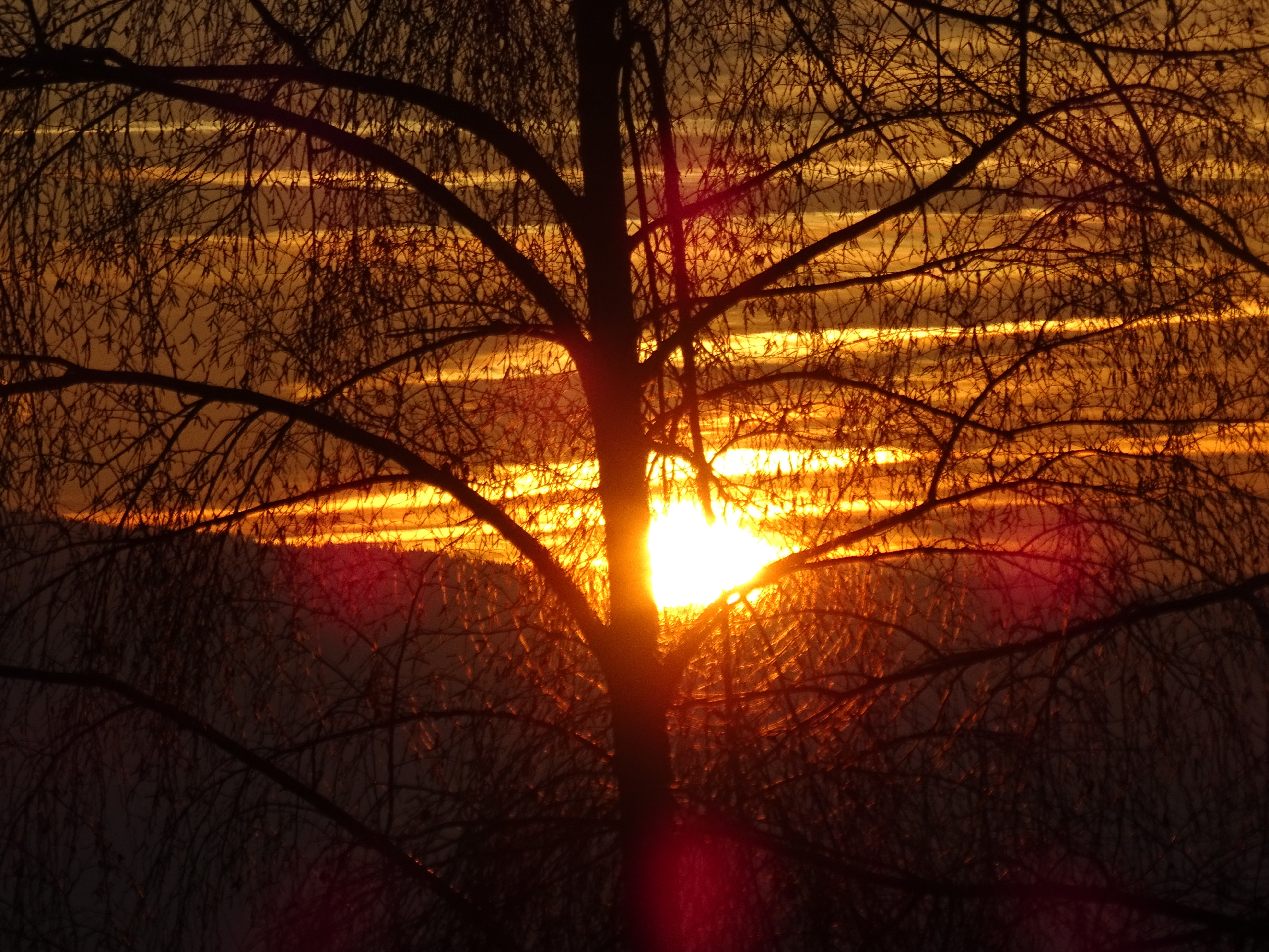 Coucher De Soleil à Nozières Le 29 Décembre 2019 Nozinfos