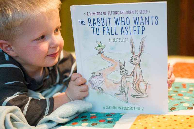 the rabbit who wants to fall asleep-20151117-8