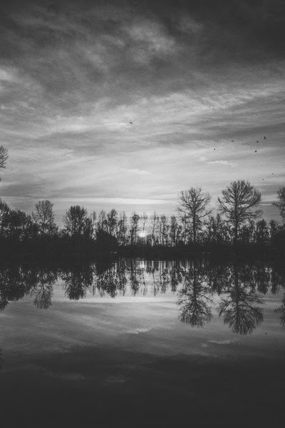 Background Black And White Landscape Nature Wallpaper