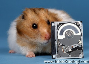 Harddisk buatan Hitachi dengan seekor hamster