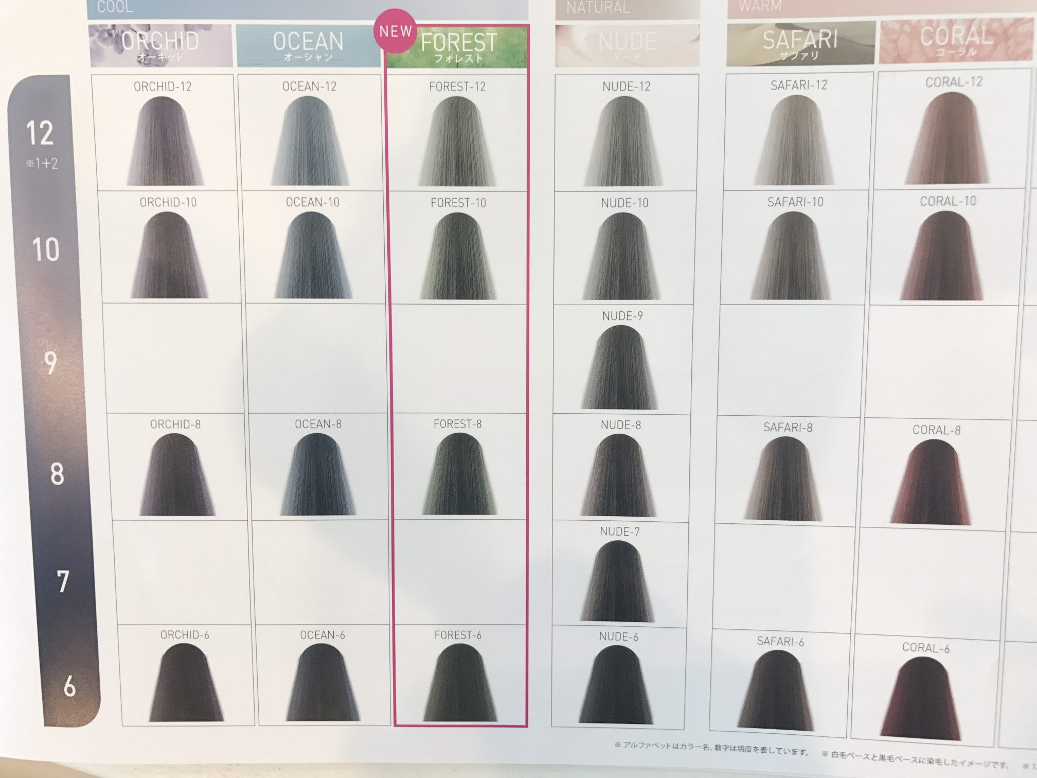 ブリーチしないで明るめアッシュカラーにする限界について 亀有の外国人風ヘアカラーが得意な美容院 La Chouchou ラ シュシュ