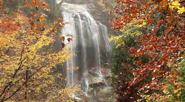 秋田県 秋の宮温泉郷 東北の紅葉名所 Feel 55