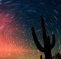 LEONIDS...A meteor from the Leonid shower, visible as a diagonal streak between the fingers of a cactus plant, is seen in this time exposure photo from early Sunday, Nov. 18, 2001, in Tucson, Arizona. The Leonid shower is the result of the Earth plowing through a debris trail from the comet Tempel-Tuttle, which swings around the sun every 33 years. This year's shower was expected to be particularly impressive, with as many as 4,000 meteors per hour visible.  (AP Photo/Arizona Daily Star, James S. Wood)...I...TUCSON...AZ...USA