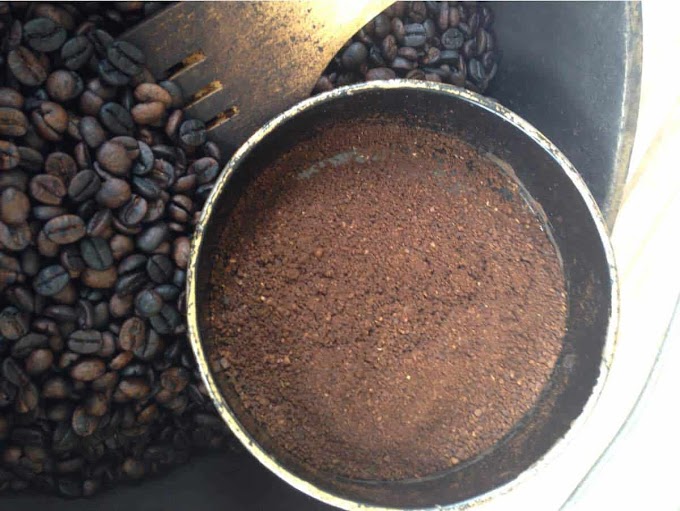 Growing Microgreens In Coffee Grounds : 6 Popular Methods for Brewing Coffee at Home - Make sure to avoid any seeds that have been treated with .