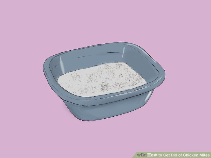 Get Rid of Chicken Mites Step 2.jpg