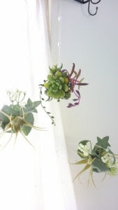 多肉植物のアレンジもブログに追加しました ネルソルを使って変わったアレンジを作ります 花づくし 色々なお花を楽しみつくします