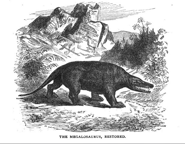Megalosaurus