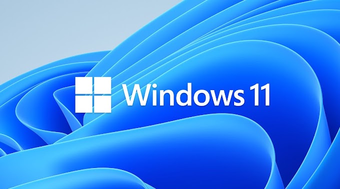 Windows 11 With Office 2019 Pro Plus Free Download