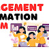 Information Systems; the case of Magical Toys.