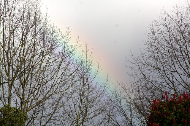 partial single rainbow!