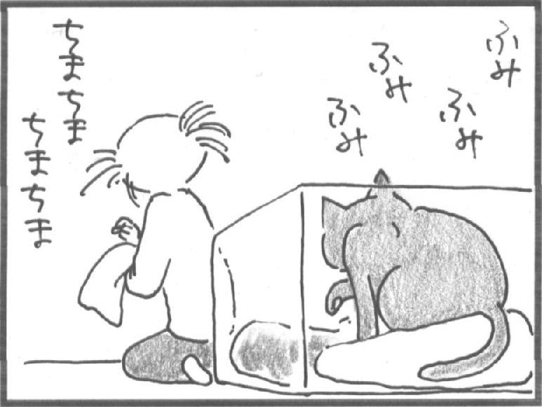 ケータイ猫パンチtv情報局 猫パンチtv Powered By ココログ