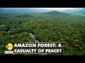 Peace pact in Colombia has boded ill for Amazon forest | FARC Rebels | Latest World English News