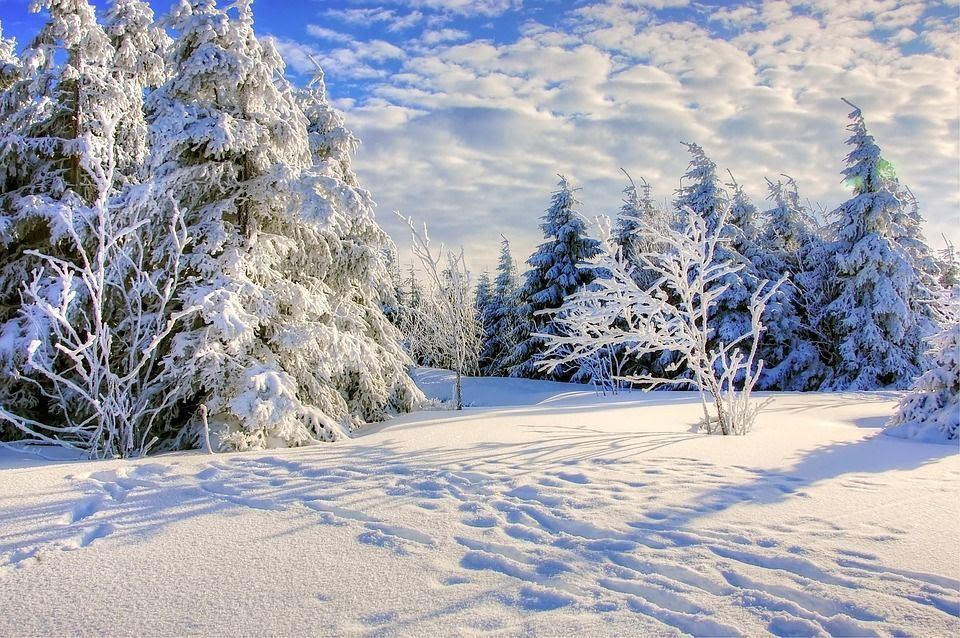 Belles Images De Paysages Hiver