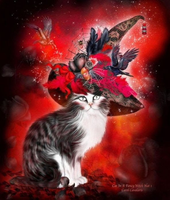 Cat In A Fancy Witch Hat By Carol Cavalaris Pictures 