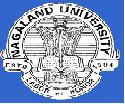 Nagland University hiring Asst