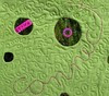 detail3 connect