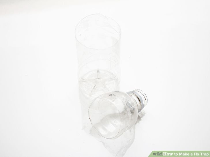 Make a Fly Trap Step 2 Version 3.jpg