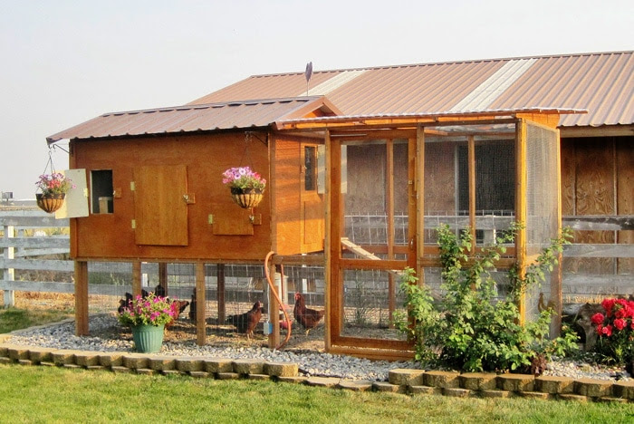 Idaho Chicken Coop from Plans ::: Coop Thoughts Blog