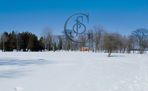 Orillia - Tudhope Park Winter View