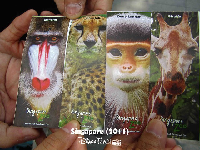 Day 3 Singapore - Zoo Singapore 01