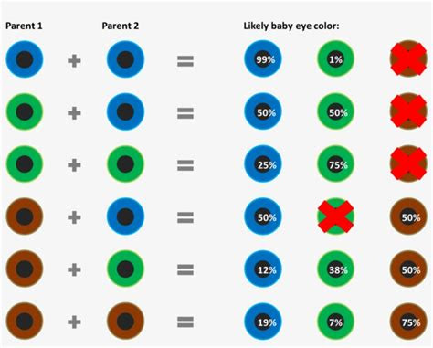  3 facts about eye color genetics eye color chart eye color chart all