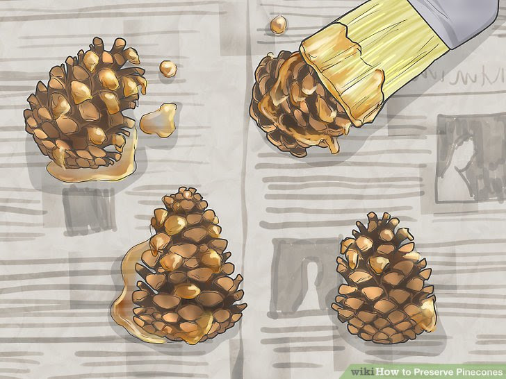 Preserve Pinecones Step 13.jpg