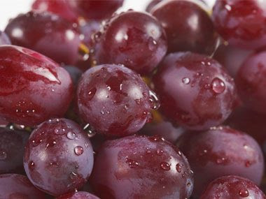 Fruit