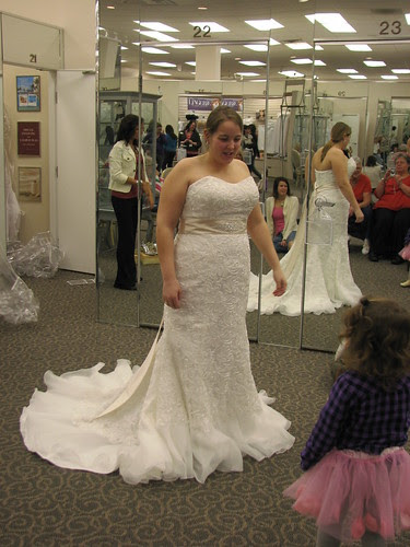 Ambers Wedding Dress - 2-13-11 036