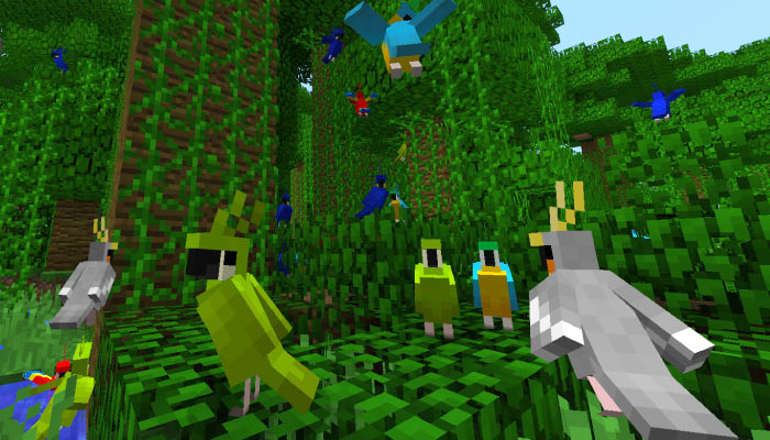 マイクラ 新しく飼育可能なmob オウム の懐かせ方 肩に乗せる方法などまとめた マイクラモール