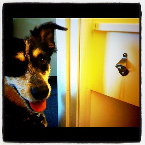 We r staying in a cheap hotel but have the best perk