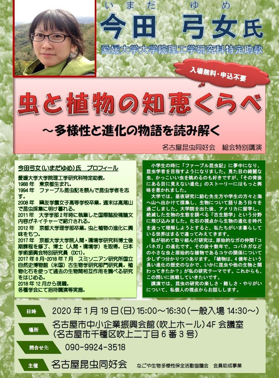 虫愛づる姫君 熱き思いを語る サラファーンの星ができるまで 創作の舞台裏 Fumiko S Blog