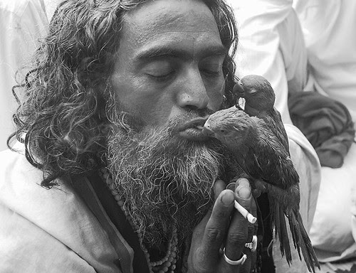 Kissing Women Is Injurious To Health.. Kissing Parrots Is Safer by firoze shakir photographerno1