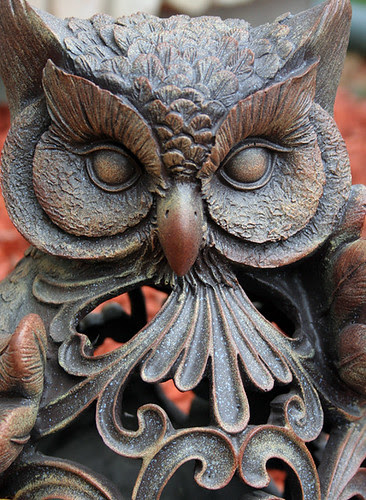 hoot