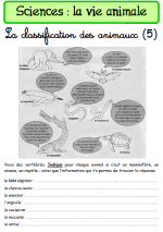 CLASSIFICATION DES ANIMAUX