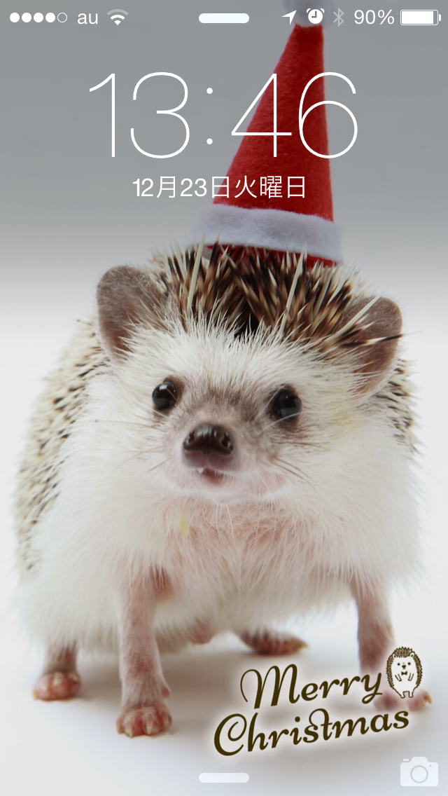 スマホ用壁紙 Christmasバージョン 慣れないハリネズミ うに丸 ブログ