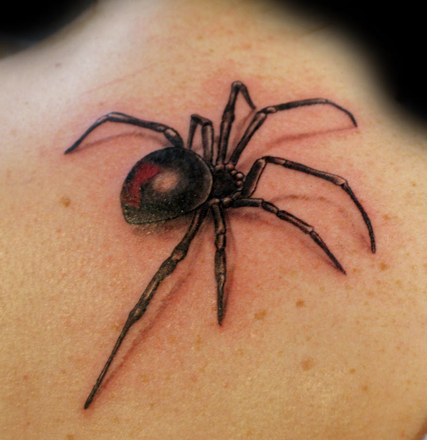 Spider by Uken on DeviantArt