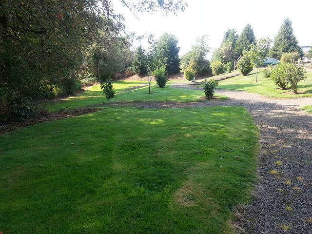 Steamboat Park, Cornelius