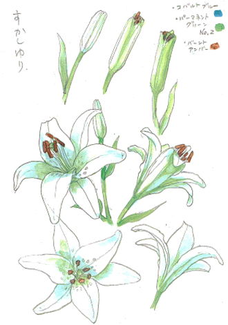 百合 透かしユリで描き方を学ぼう 塗り絵で癒し 風景画 花の絵