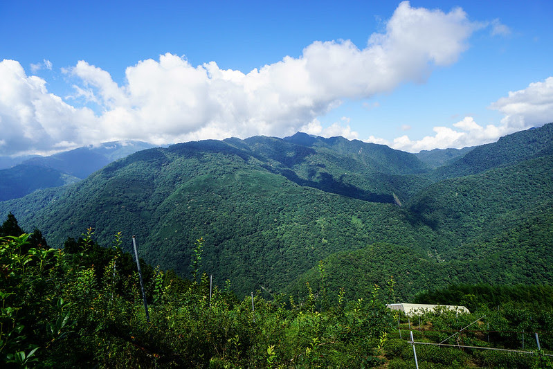 DSC06395