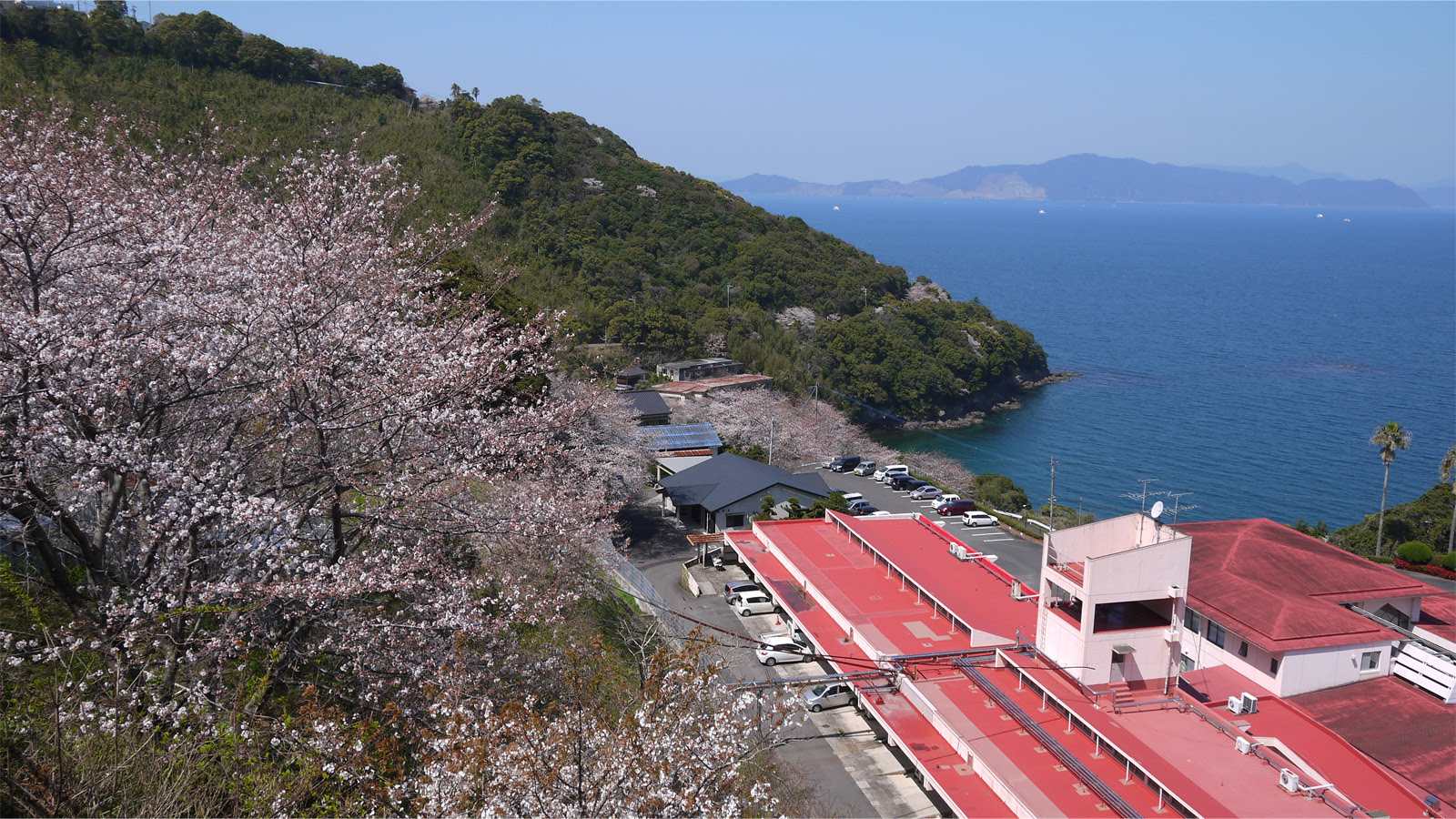 湯の児チェリーライン 熊本県水俣市 福岡発 九州観光ガイド